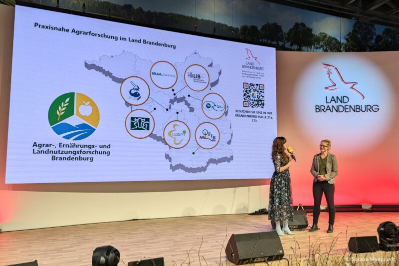 Maxie Grüter auf der Brandenburg Bühne auf der Grünen Woche 2026 in Berlin