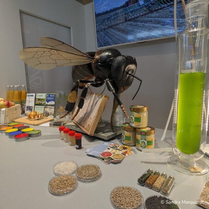 AEL Brandenburg Stand auf der Grünen Woche 2026 in Berlin