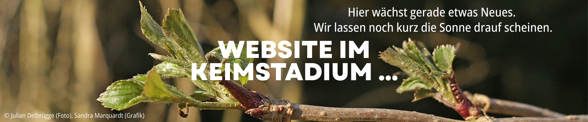 AEL Slider Web_Baustelle